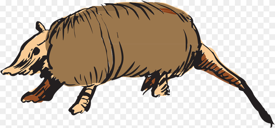 Armadillo Clipart, Animal, Mammal, Wildlife, Person Free Png Download
