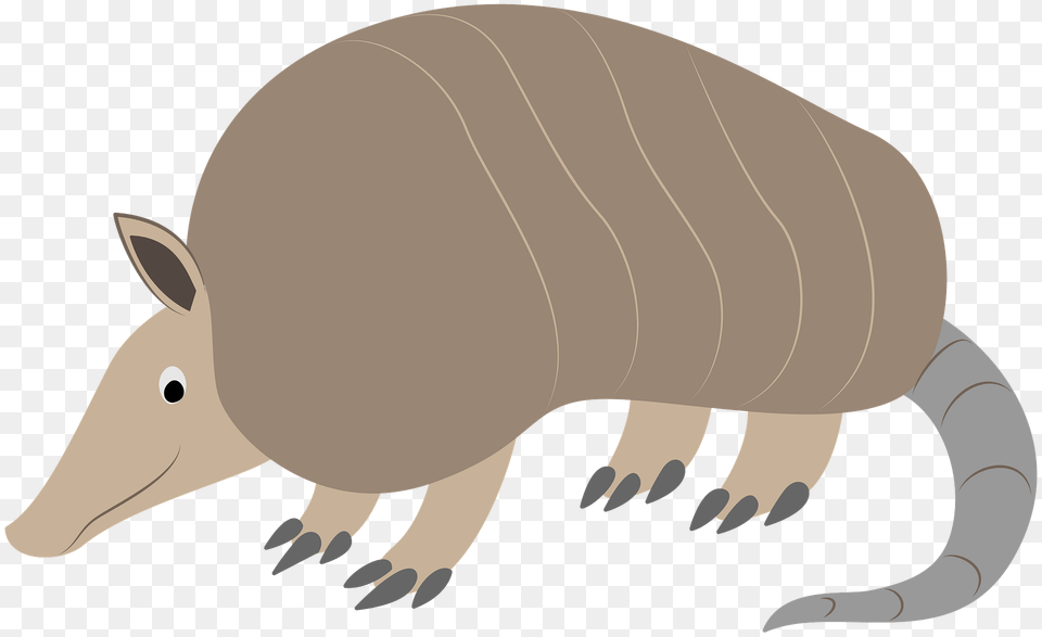 Armadillo Clipart, Animal, Mammal, Wildlife, Fish Free Png Download