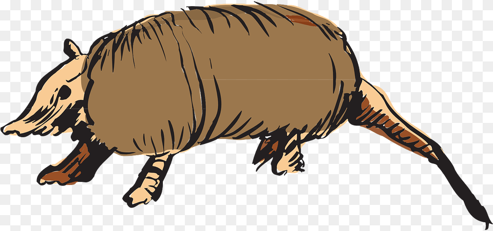 Armadillo Clipart Vector Animals Clipart, Animal, Mammal, Wildlife, Dinosaur Free Transparent Png