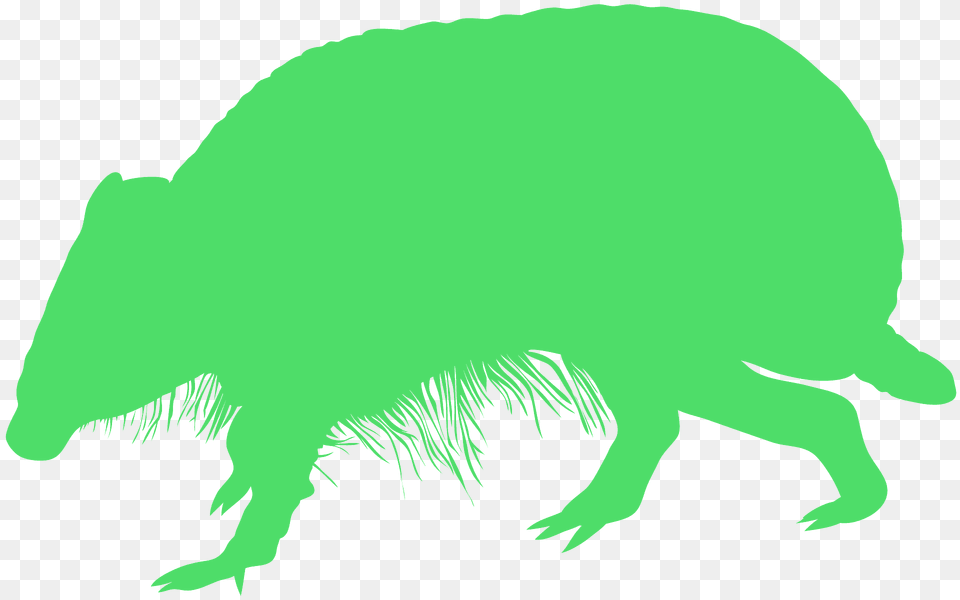 Armadillo Silhouette, Animal, Mammal, Bear, Wildlife Free Png Download