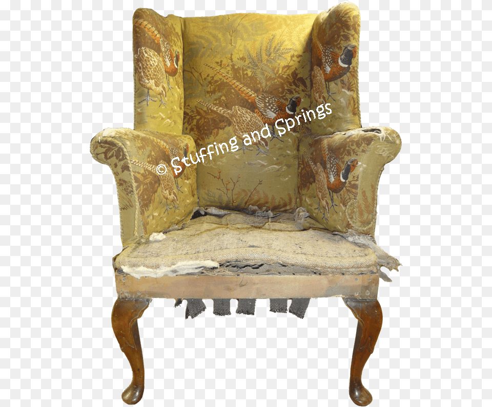 Armchair 1 Chair, Furniture, Animal, Bird Free Png Download