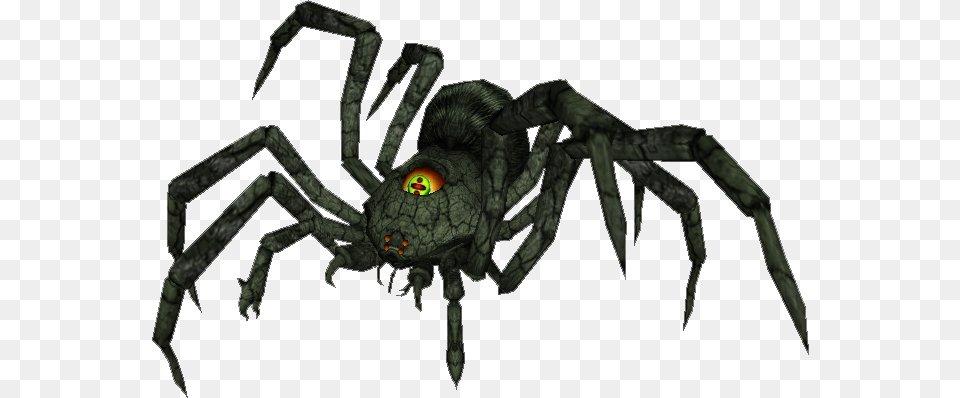 Armogohma Wiki, Animal, Invertebrate, Spider Png