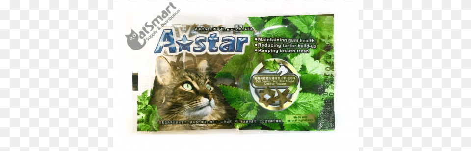 Armonto A Star Cat Dental Treat Star Shape Flavor Cheese Cat, Herbal, Herbs, Plant, Mint Free Png Download