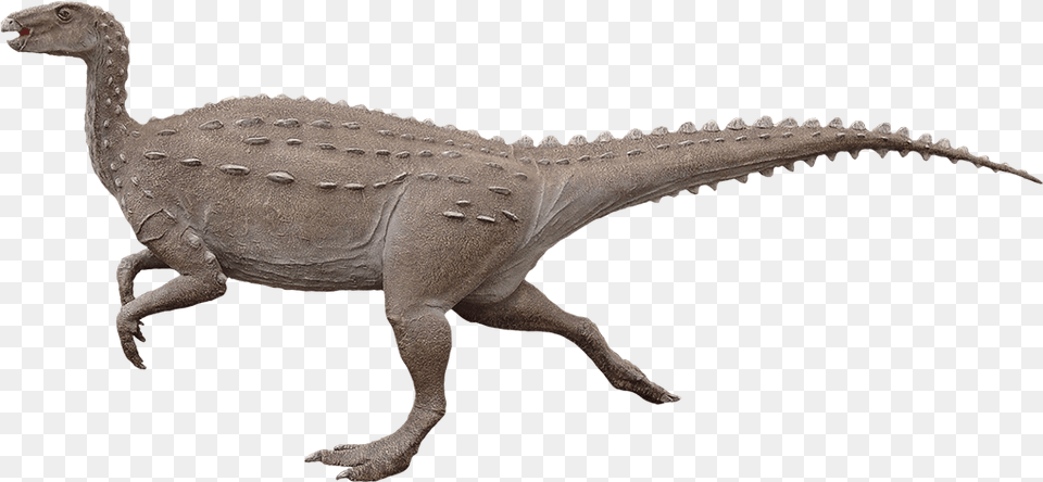 Armored Dinosaur Scelidosaurus, Animal, Reptile, T-rex Free Transparent Png