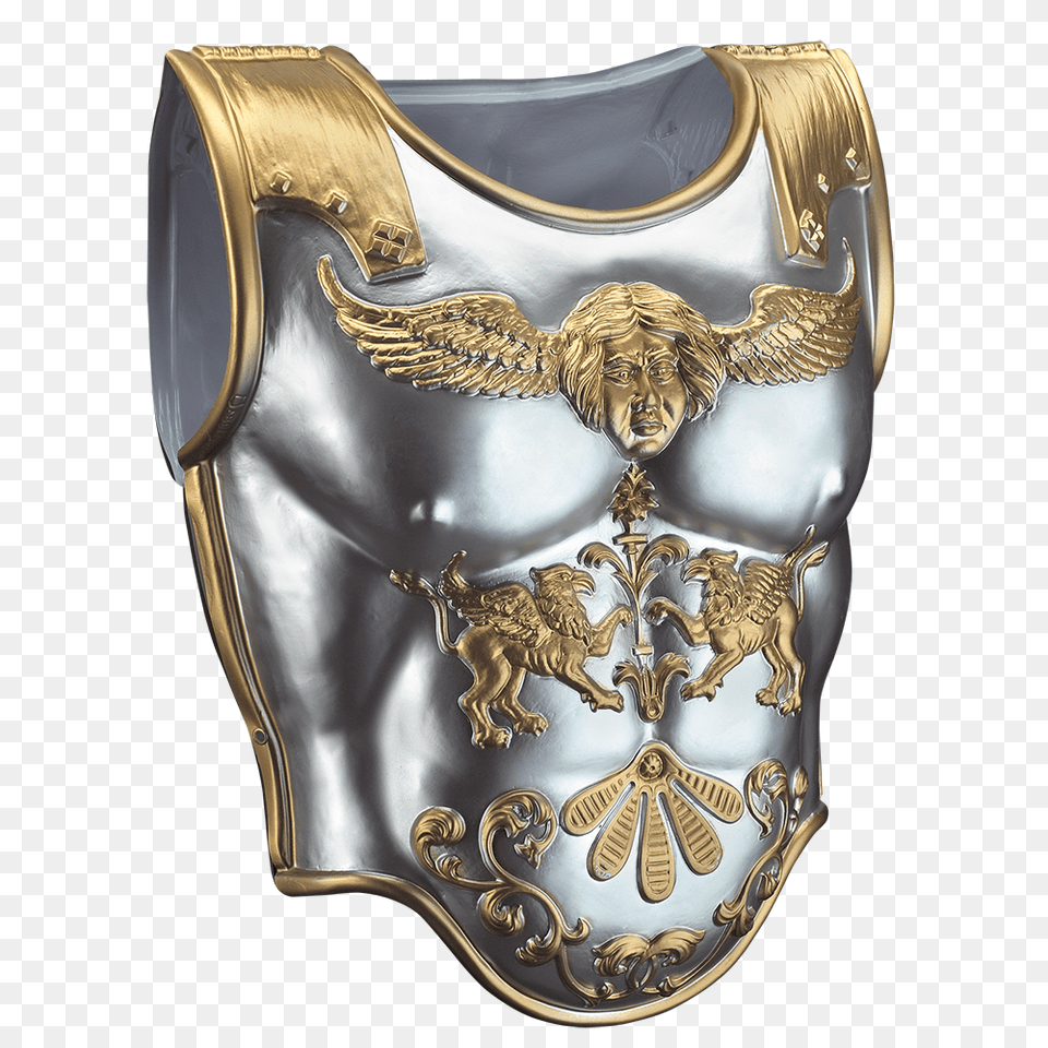Armour, Armor, Face, Head, Person Png Image