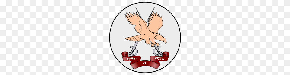 Army Aviation Corps, Animal, Bird, Vulture, Electronics Free Transparent Png