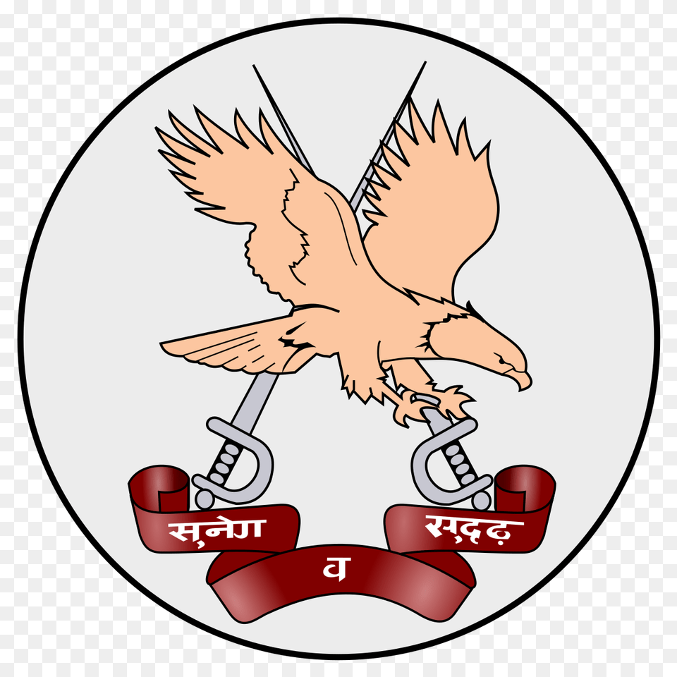 Army Aviation Corps, Animal, Bird, Vulture, Baby Png