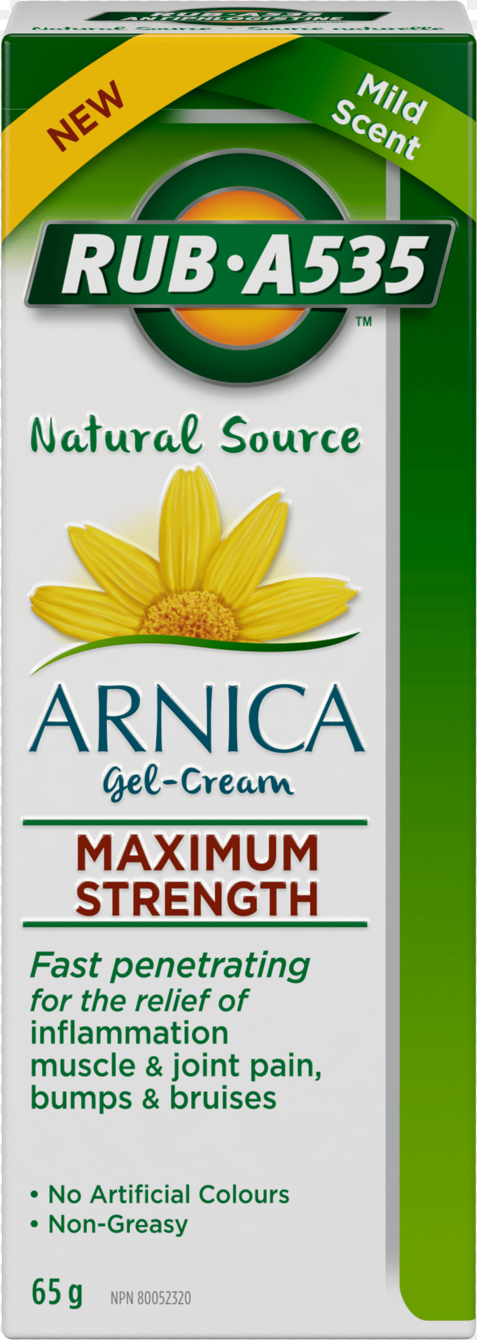 Arnica Gel Cream Rub, Herbal, Herbs, Plant, Food Png Image