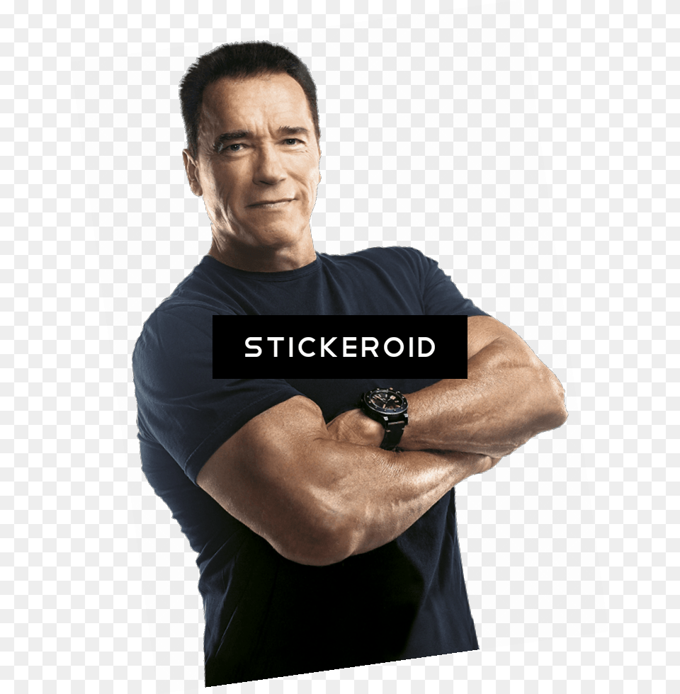 Arnold, Adult, T-shirt, Portrait, Photography Png