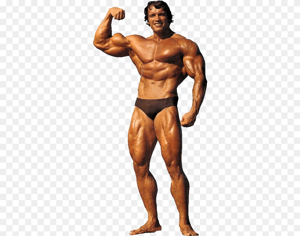 Arnold Arnold Schwarzenegger Bodybuilding, Adult, Male, Man, Person Free Png Download