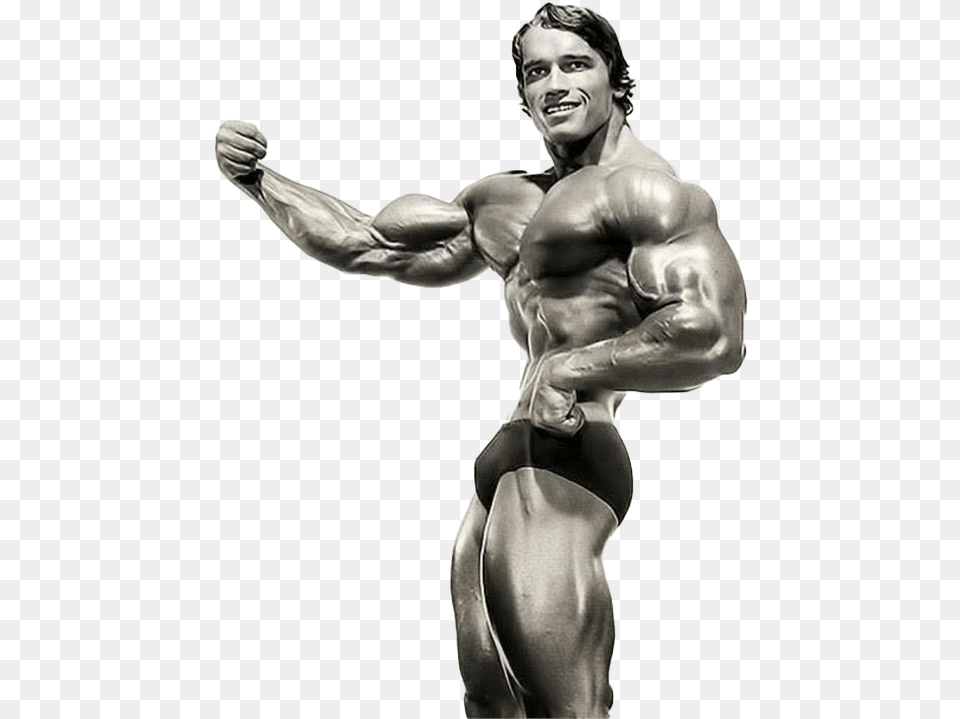 Arnold Schwarzenegger Bodybuilding Download Image Arnold Schwarzenegger Bodybuilding, Adult, Male, Man, Person Free Transparent Png