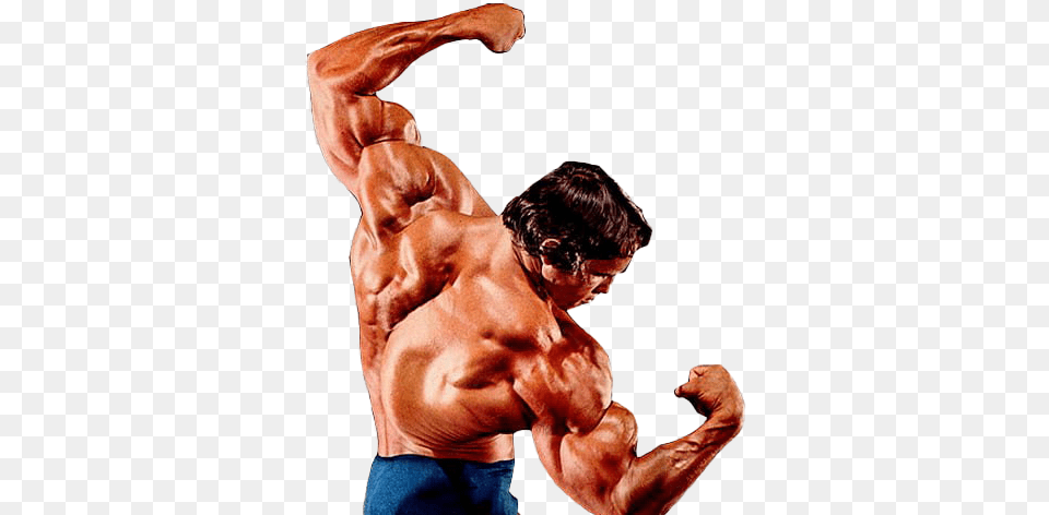 Arnold Schwarzenegger Bodybuilding Images Arnold Schwarzenegger Best Pose, Back, Body Part, Person, Adult Png