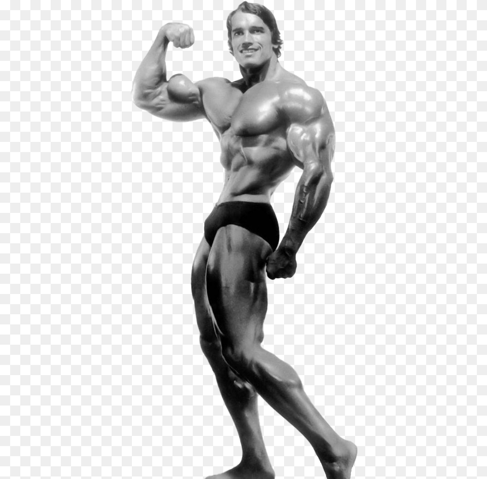 Arnold Schwarzenegger Bodybuilding Transparent Arnold Schwarzenegger Bodybuilding, Adult, Person, Man, Male Free Png Download