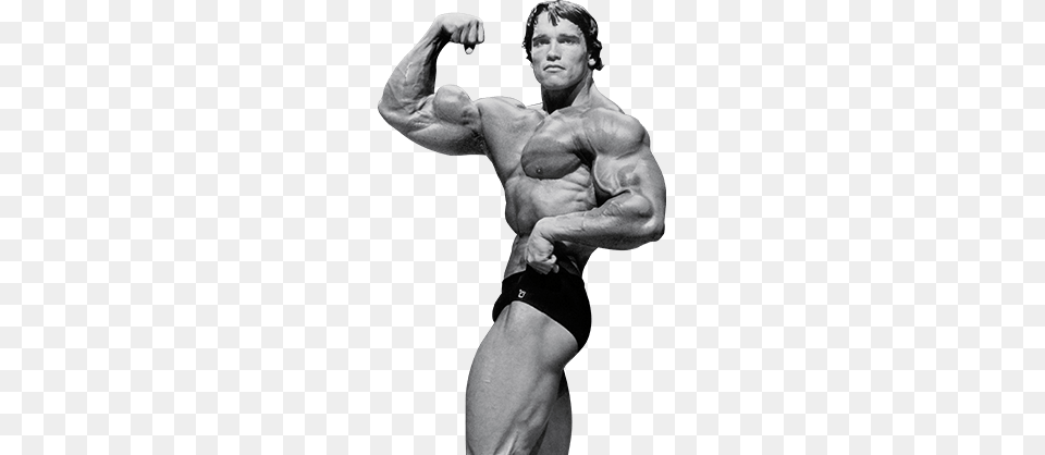Arnold Schwarzeneggers Blueprint To Cut Training Workout, Body Part, Finger, Hand, Person Free Transparent Png