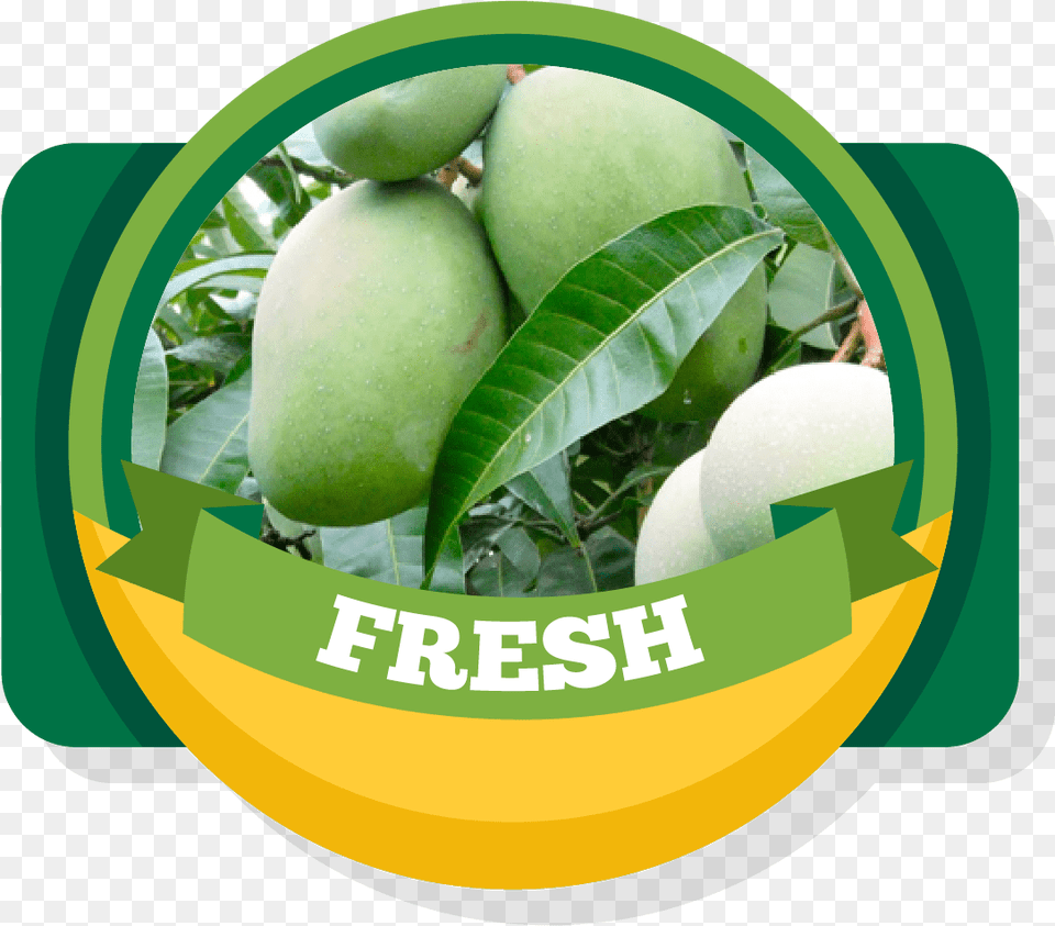 Aroma Of Our Fruit Green Fresh Mango, Food, Plant, Produce, Pear Free Png