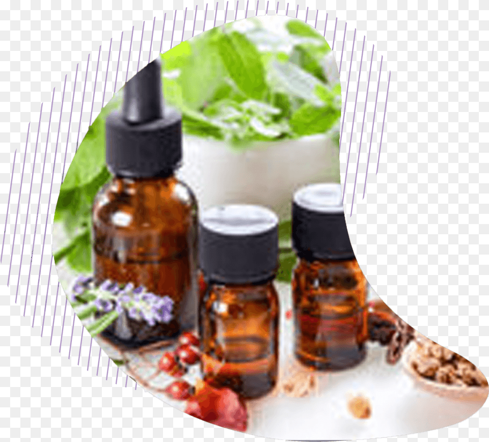 Aromaterapia, Herbal, Herbs, Plant, Mint Free Png