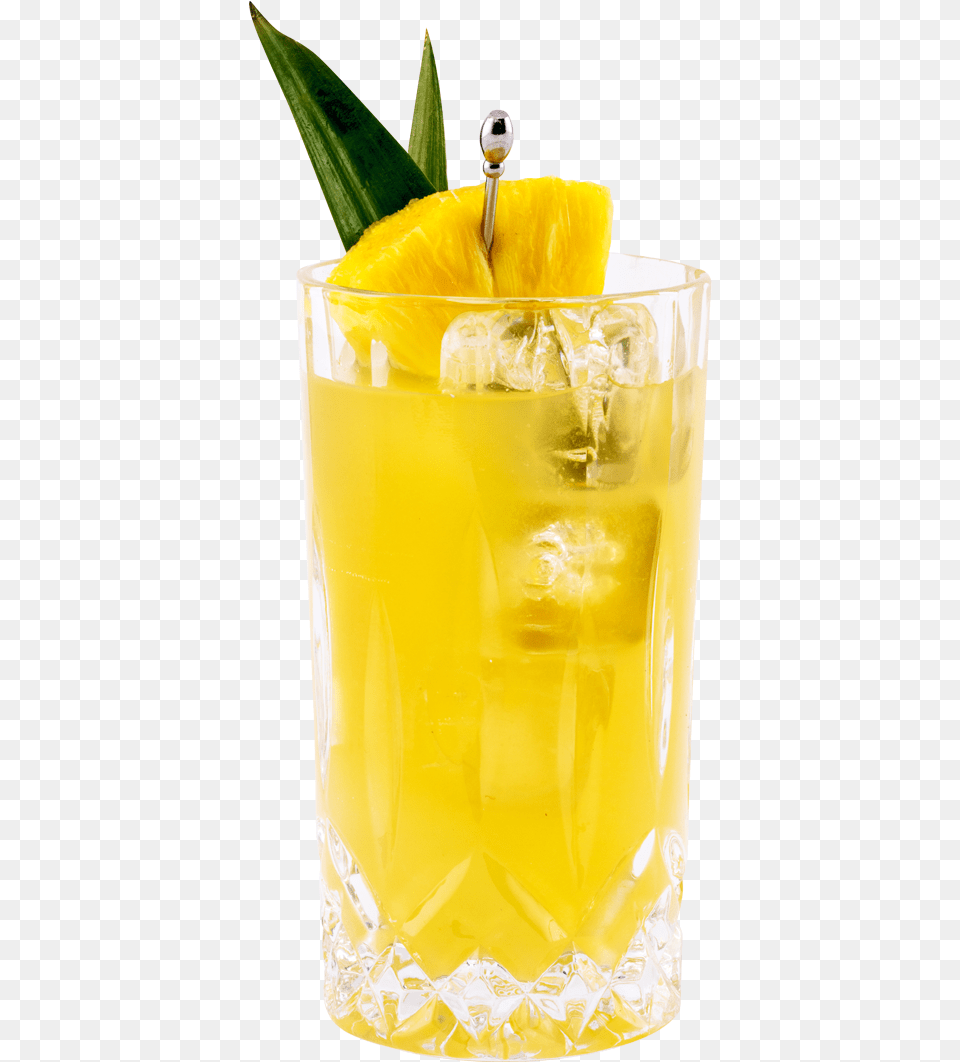 Around The World Gin Amp Juice Yellow Gin Cocktails, Beverage, Lemonade, Fruit, Produce Png