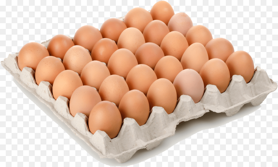 Arquitecto Te Lo Ponemos A Huevo Eggs In A Tray, Egg, Food Free Png