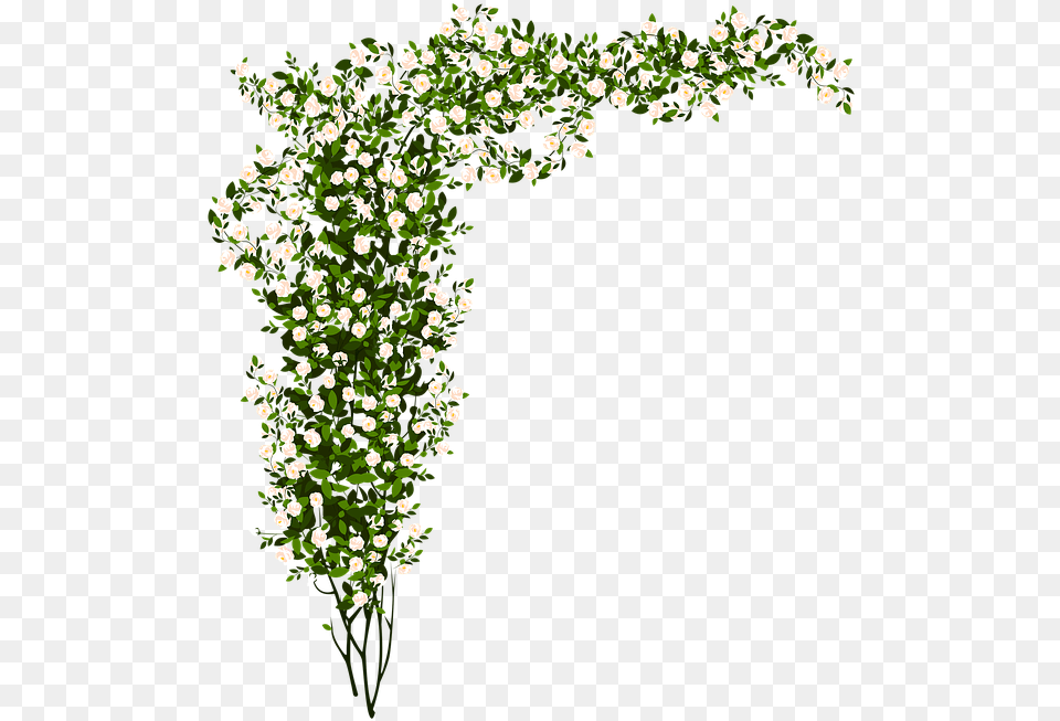 Arrangement Flowers Green Small Flower Rose Bush, Plant, Flower Arrangement, Art, Floral Design Free Transparent Png