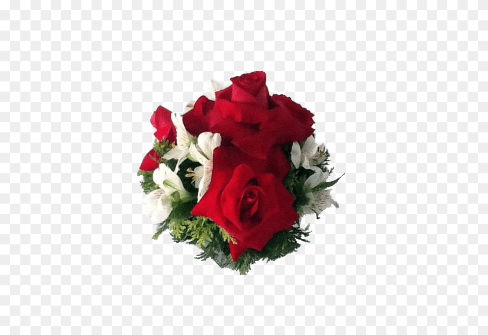 Arranjo De Rosa Vermelha Rosa Vermelha, Rose, Plant, Flower, Flower Arrangement Free Transparent Png