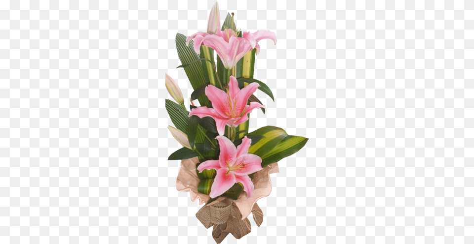 Arranjo Lrios Frances Floral Bromelia, Flower, Flower Arrangement, Flower Bouquet, Plant Free Png Download