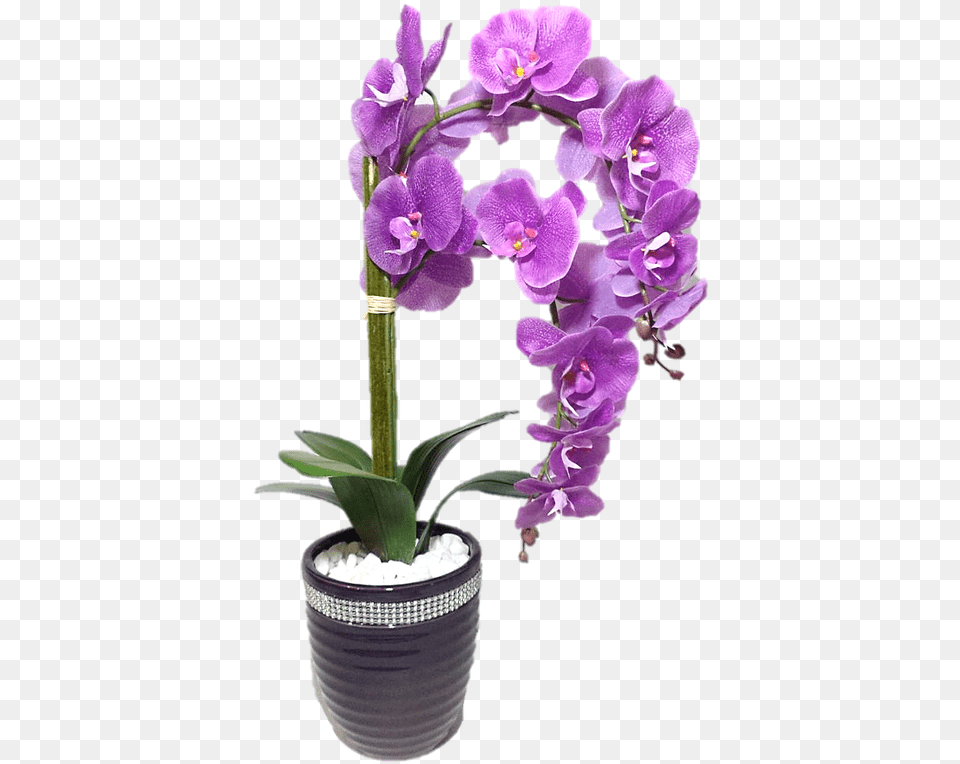 Arranjo Orqudea Lils 99cm Siliconada Vaso Cermica Artificial Flower, Orchid, Plant, Flower Arrangement, Geranium Free Png Download