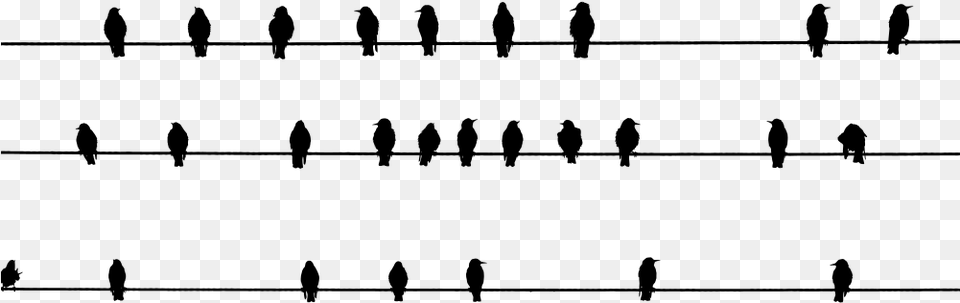 Array Of Perched Birds Silhouette Silhouette, Gray Free Png
