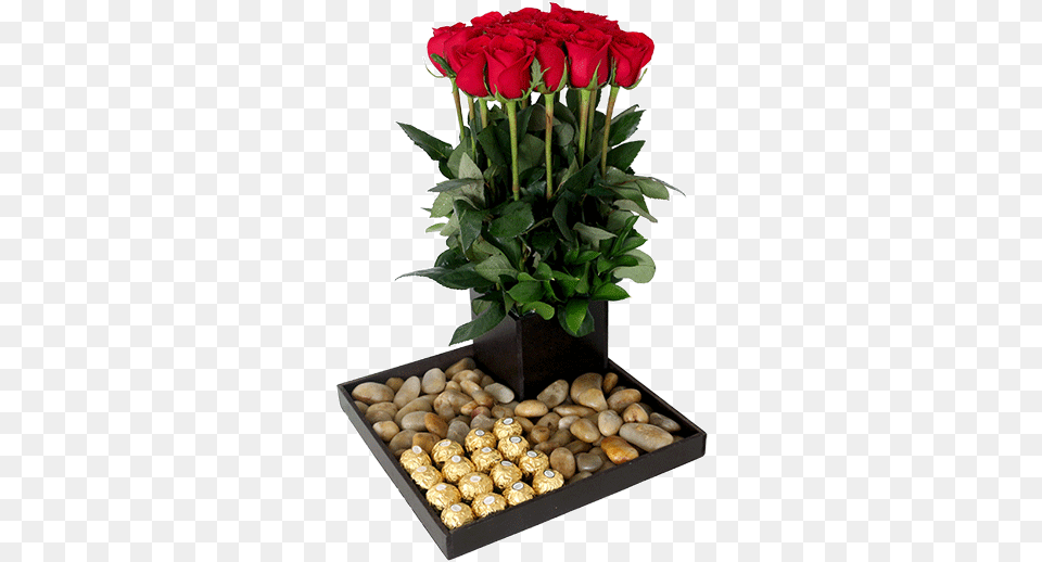 Arreglo De Rosas Con Ferrero Arreglo De Rosas Con Ferrero Arreglos De Rosas Con Ferrero, Flower, Flower Arrangement, Flower Bouquet, Plant Png