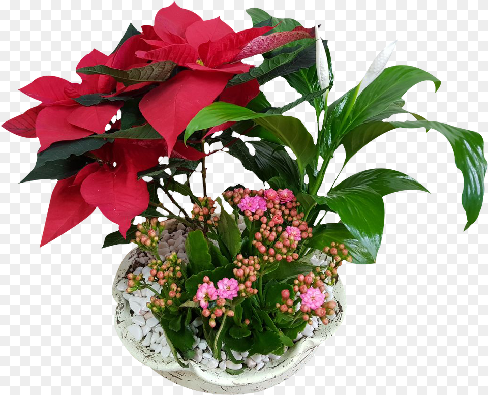 Arreglo Floral, Flower, Flower Arrangement, Flower Bouquet, Plant Free Transparent Png