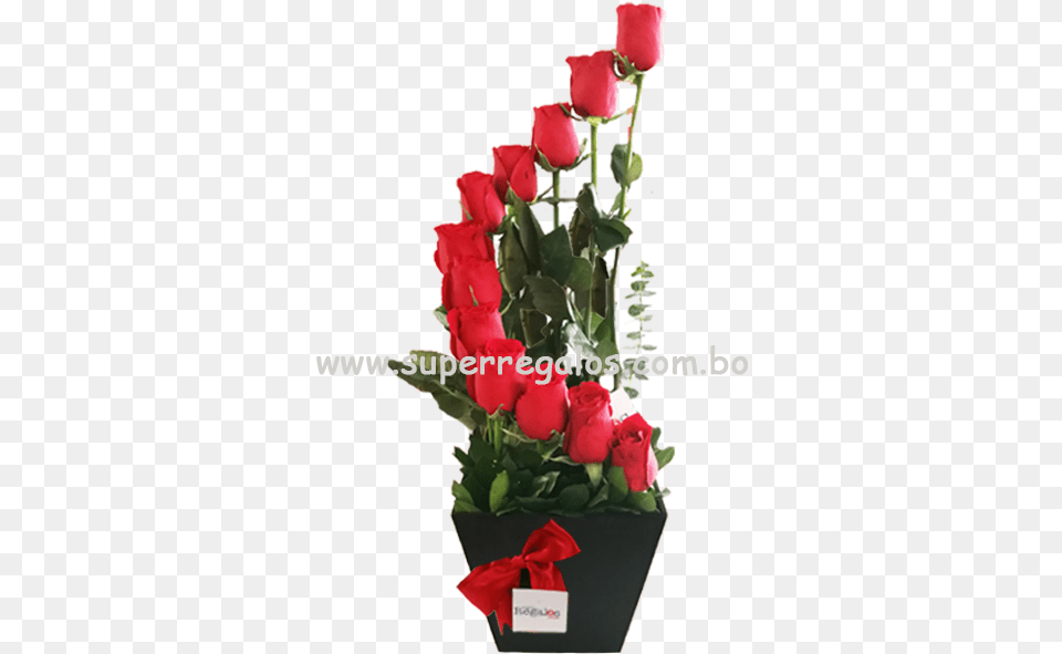 Arreglos Florales De Graduacion 2019, Flower, Flower Arrangement, Flower Bouquet, Plant Png Image