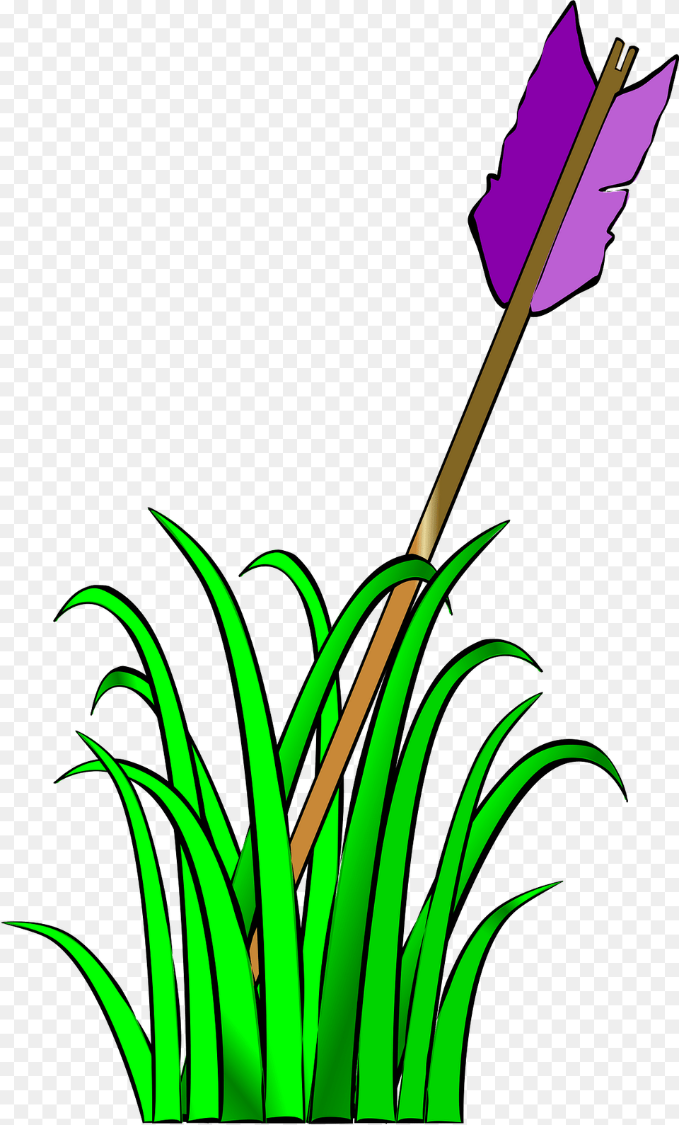 Arrow Clipart, Weapon, Plant, Spear Free Png
