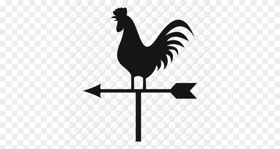Arrow Cock Direction Vane Weather Weathercock Wind Icon, Animal, Bird, Waterfowl Free Png Download