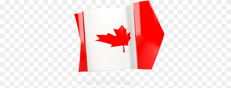 Arrow Flag Illustration Of Canada Maple Leaf, Plant, First Aid Free Transparent Png