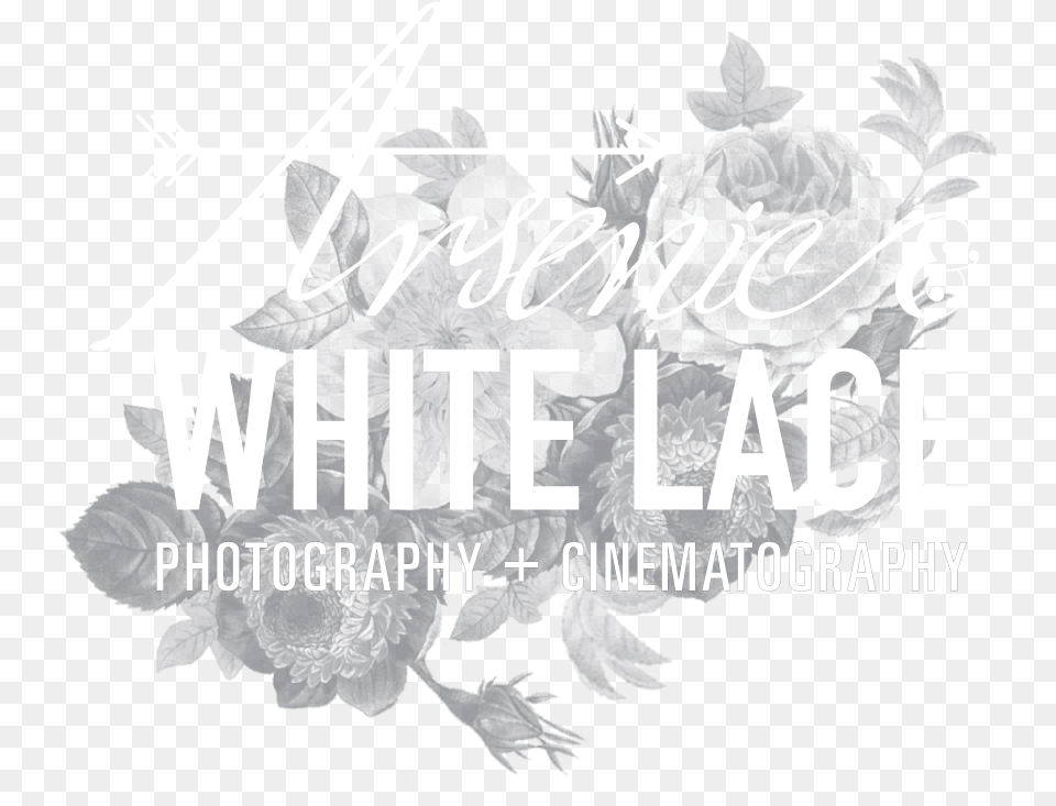Arsenic And White Lace Calligraphy, Art, Graphics, Pattern, Floral Design Free Png Download