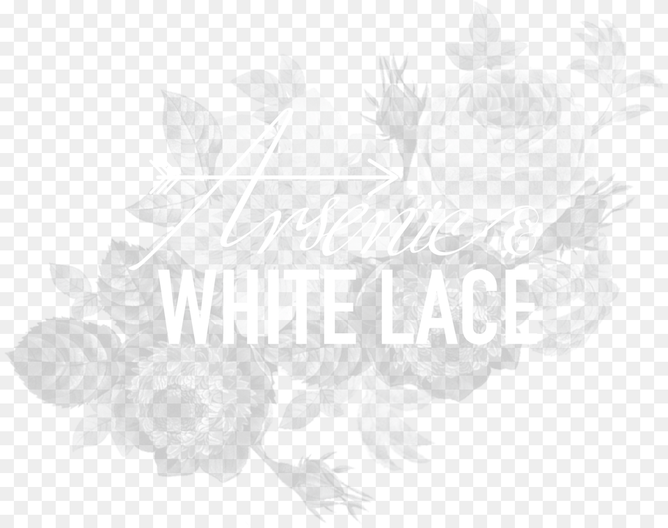 Arsenic And White Lace Illustration, Art, Floral Design, Flower, Graphics Free Png Download