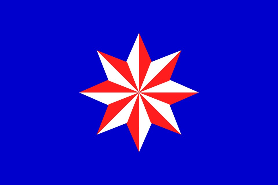 Arsne Heitz Flag Proposal 25 December 1954 Clipart, Leaf, Plant, Star Symbol, Symbol Free Png