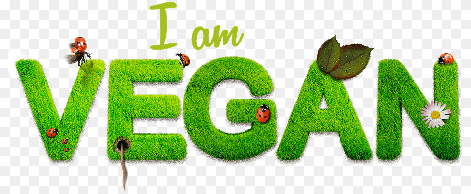 Art, Green, Text, Grass, Plant Free Transparent Png