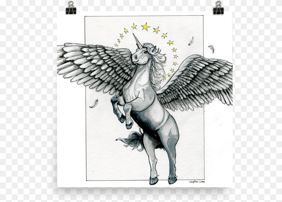 Art, Animal, Bird Free Png