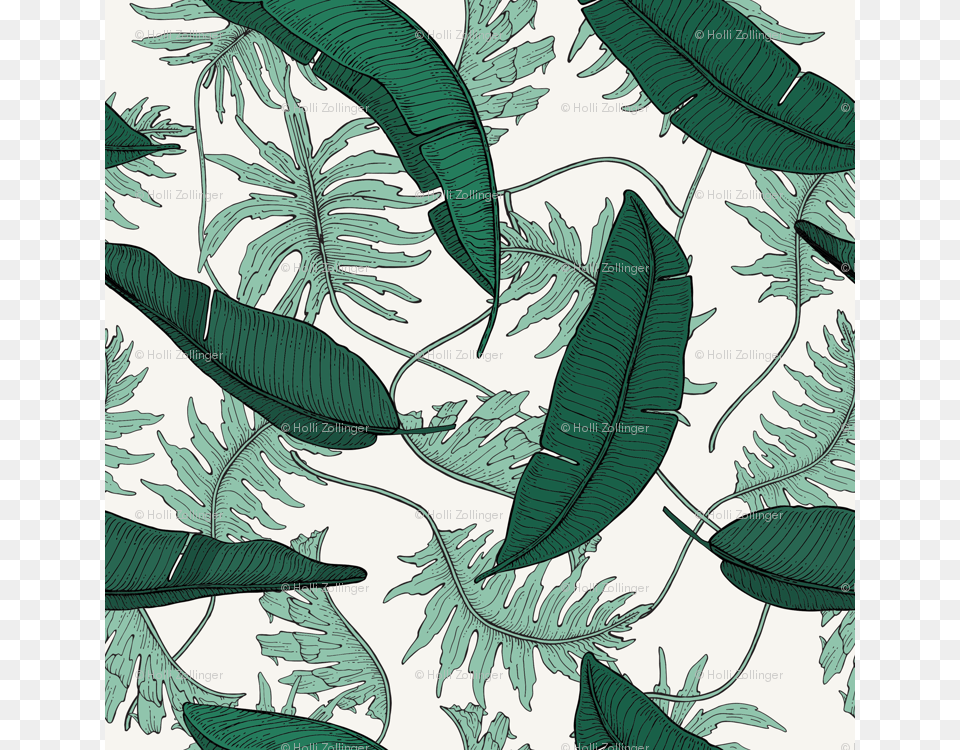 Art, Leaf, Pattern, Plant, Fern Free Png Download