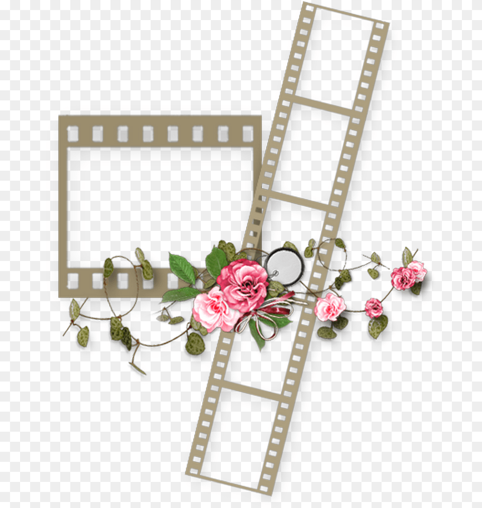 Art, Flower, Plant, Rose, Petal Free Transparent Png