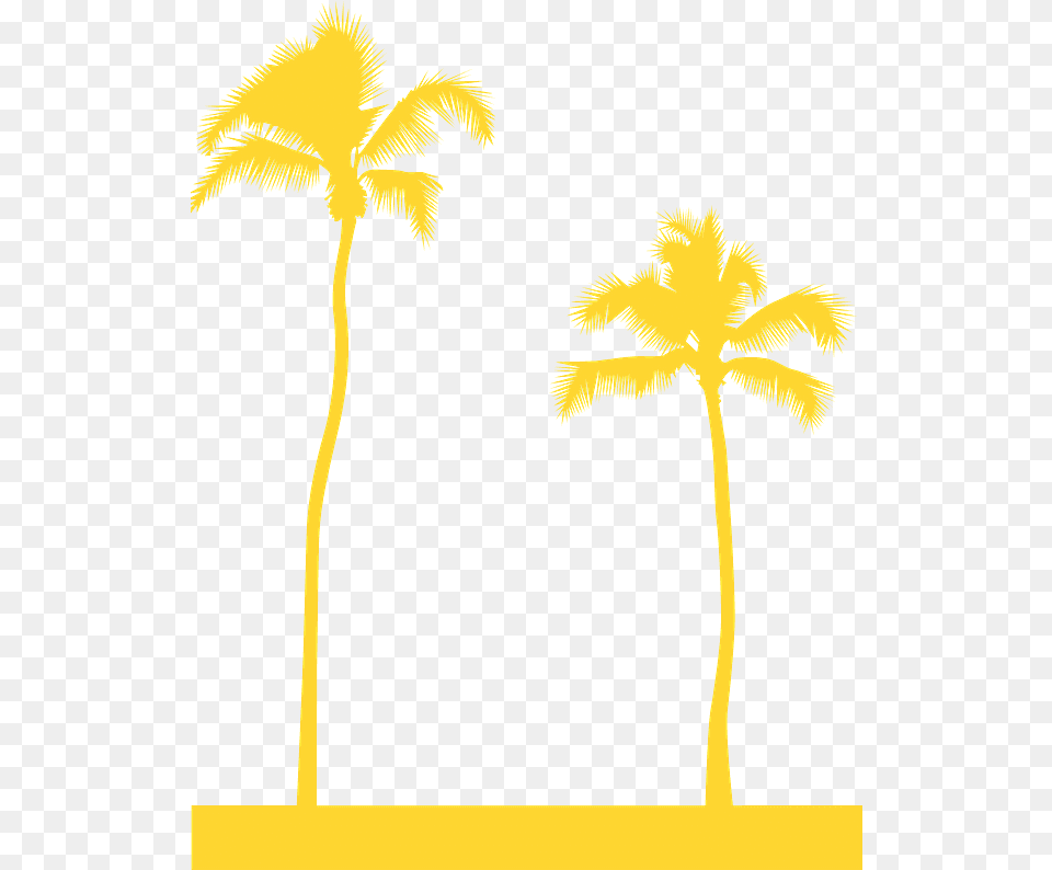 Art, Palm Tree, Plant, Tree Free Png