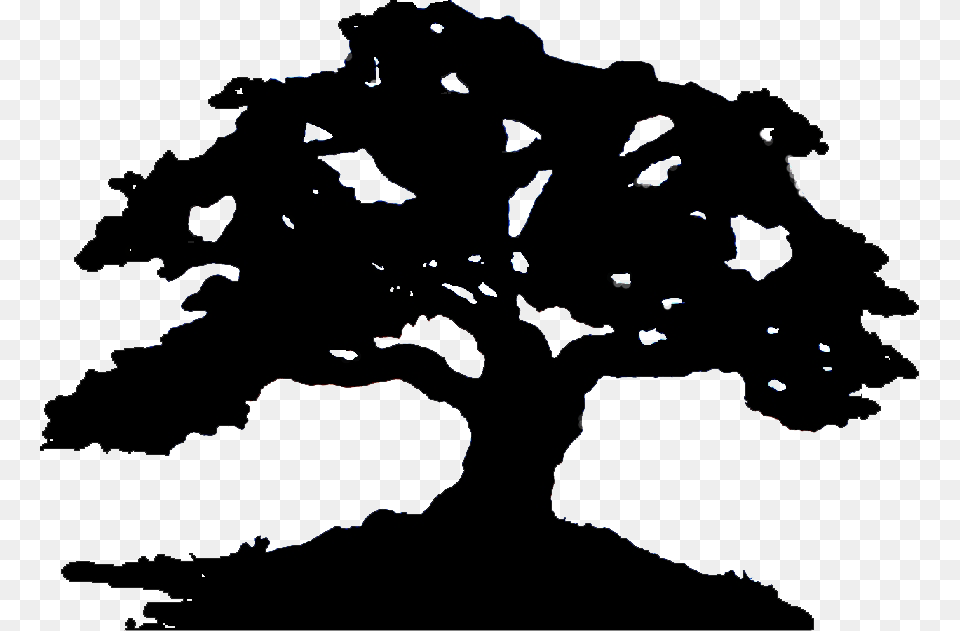 Art Amp Wine Gallery Fundraisers, Tree, Silhouette, Potted Plant, Plant Free Png