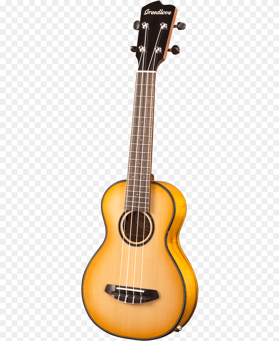 Art And Lutherie Parlour Guitar, Bass Guitar, Musical Instrument Free Transparent Png