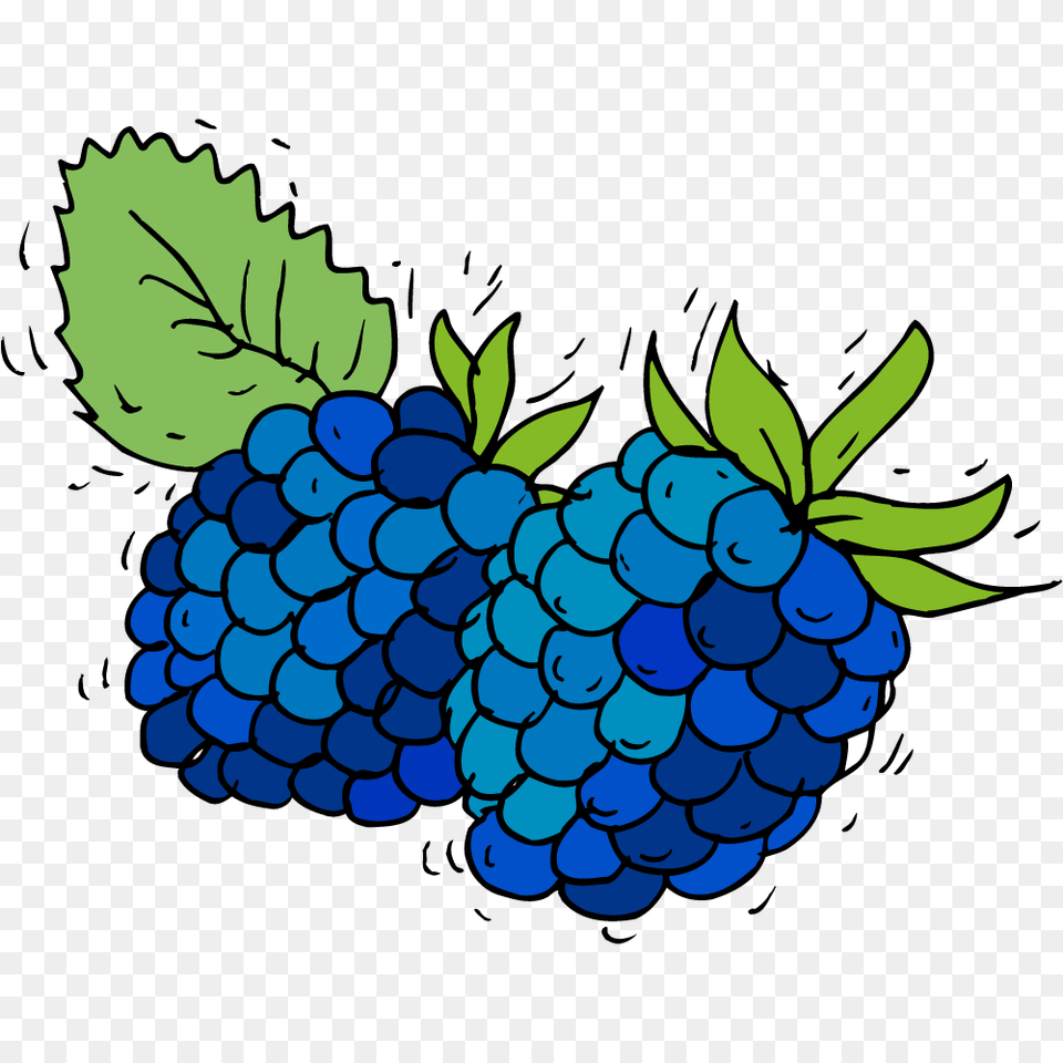 Art Apps, Berry, Plant, Grapes, Fruit Free Transparent Png