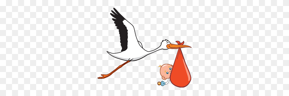 Art Baby Stork And Baby Boy, Clothing, Hat, Animal, Bird Png