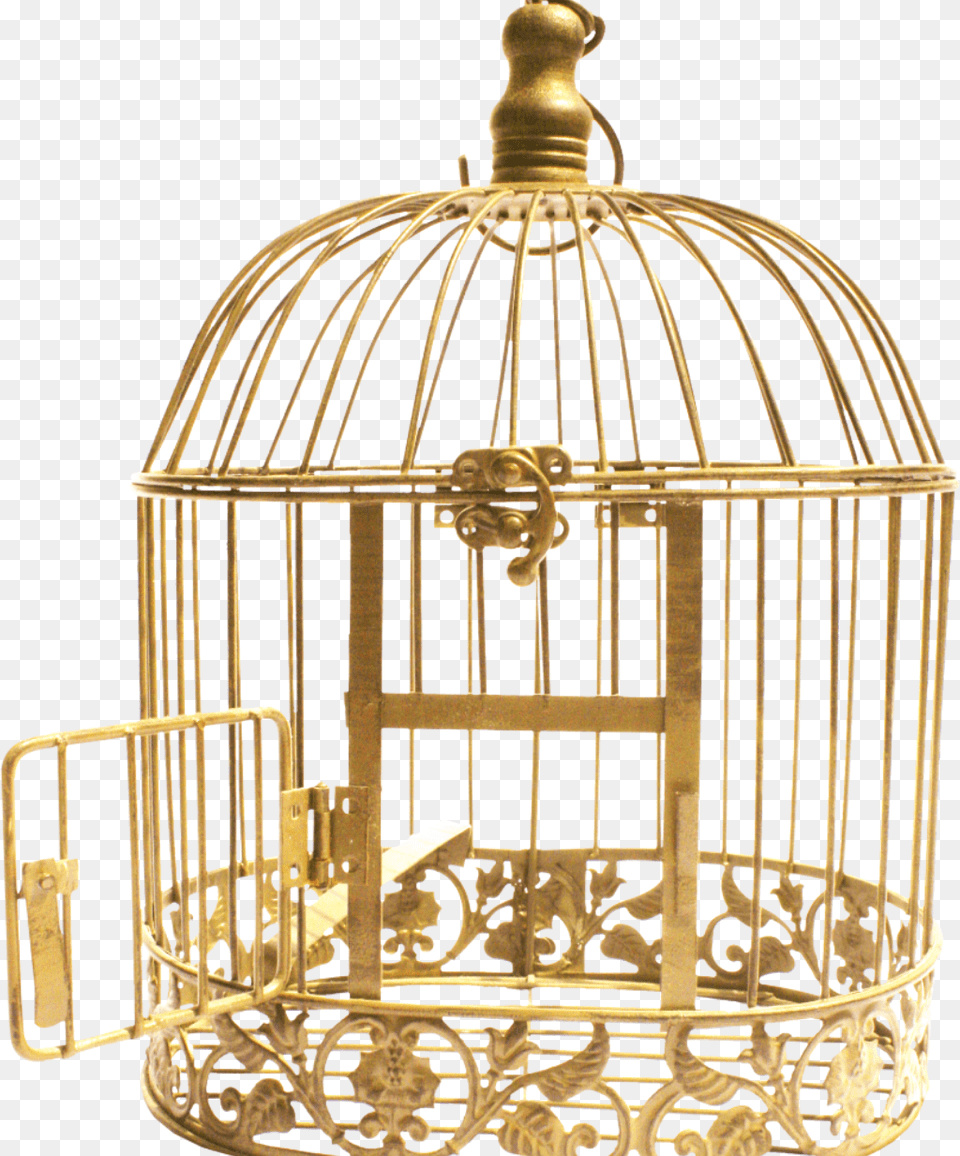 Art Birdcage Cage Cell Stickers Kletka Png