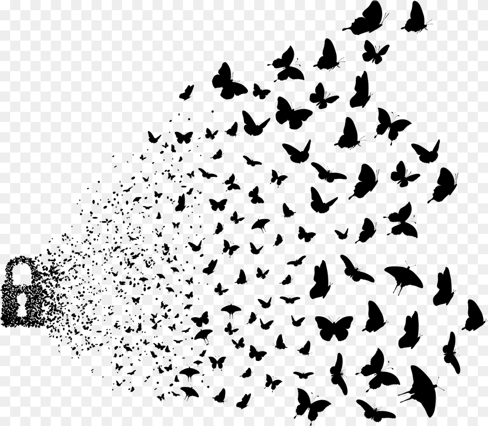 Art Birds Butterfly Edited Photography Freetoedit Birds For Picsart, Silhouette, Blackboard Free Transparent Png