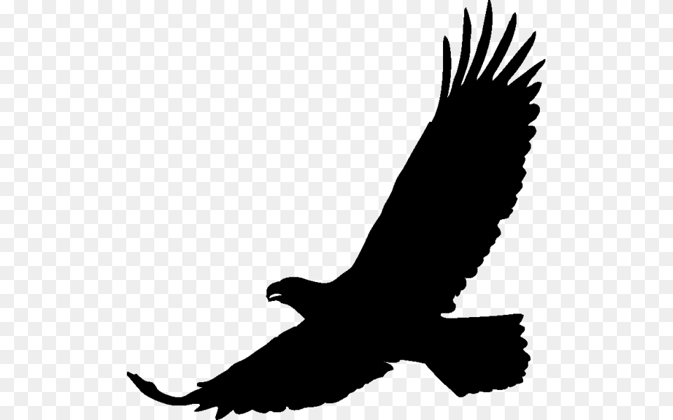 Art Black Eagle Transprent Stickers Aigle, Gray, Lighting Free Png Download