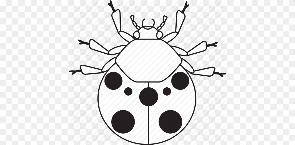 Art Bug Bugs Bw Graphic Insect Ladybug Icon, Beverage, Milk, Animal, Stencil Png Image