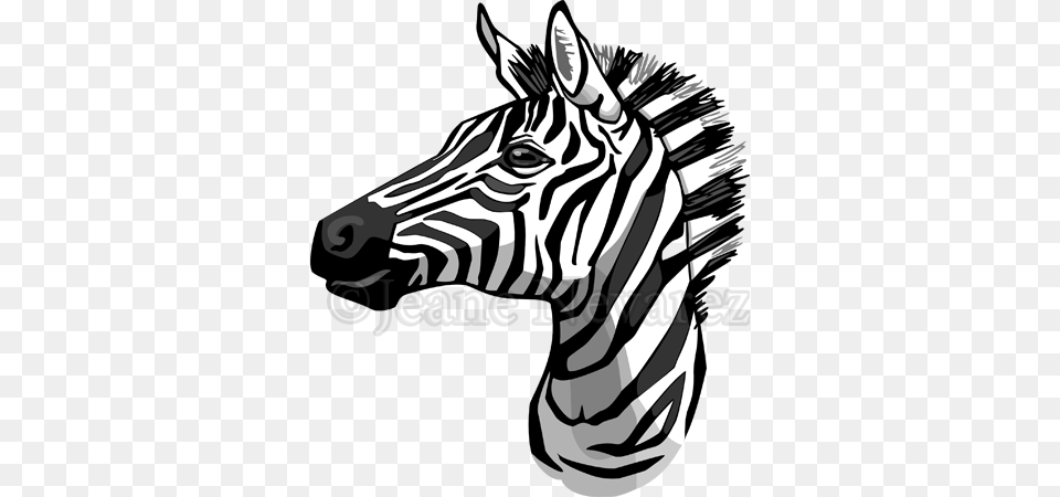 Art By Jeane Nevarez Zebra Head Line Drawing, Person, Animal, Wildlife, Mammal Free Transparent Png